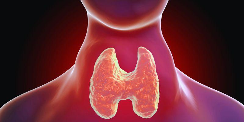 Is Your Thyroid Causing Your Weight Gain: Signs You Shouldn't Ignore